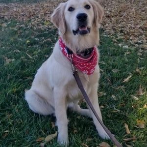 Meet your Posher, Craig